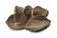 AquaKeramik Deco nano clay leaves set of 5 pcs