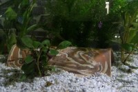 AquaKeramik medium-sized tunnel Axolotl cave 23-25 ??cm