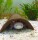 AquaKeramik medium-sized tunnel Axolotl cave 23-25 ??cm