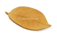 AquaKeramik medium clay leaf as a hiding place