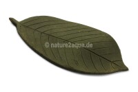 AquaKeramik medium clay leaf as a hiding place