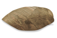 AquaKeramik medium clay leaf as a hiding place