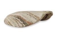 AquaKeramik medium clay leaf as a hiding place
