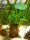 AquaKeramik planting help Planting tube for mounted plants
