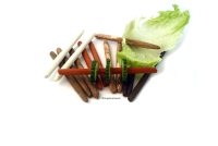 AquaKeramik Plant stick Vegetable stick Feed stick in the...