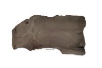 Aquarium Rock Landscape Cave Landscape Underground
