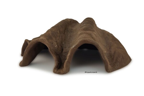 Igloo cave Axolotl cave Tridacna - giant clam
