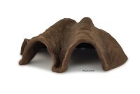 Igloo cave Axolotl cave Tridacna - giant clam