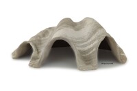 Igloo cave Axolotl cave Tridacna - giant clam