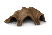Igloo cave Axolotl cave Tridacna - giant clam