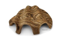 Igloo cave Axolotl cave Tridacna - giant clam