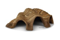 Igloo cave Axolotl cave Tridacna - giant clam