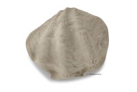 Igloo cave Axolotl cave Tridacna - giant clam