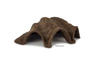 Igloo cave Axolotl cave Tridacna - giant clam