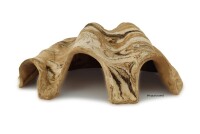 Igloo cave Axolotl cave Tridacna - giant clam