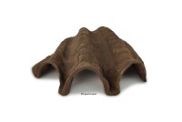 Igloo cave Axolotl cave Tridacna - giant clam