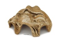 Igloo cave Axolotl cave Tridacna - giant clam