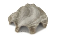 Igloo cave Axolotl cave Tridacna - giant clam