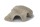 Igloo cave Axolotl cave Tridacna - giant clam