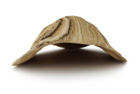 Axolotl Cave Turtle Igloo Gaia Clay Hiding Place