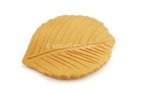 Deco clay Common beech leaf for Aquarium