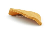 Deco clay Common beech leaf for Aquarium