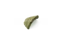 Deco clay Common beech leaf for Aquarium