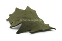 Deco clay Oak leaf for Aquarium