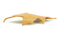 Deco clay Oak leaf for Aquarium