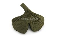 Deco clay Ginkgo leaf for Aquarium