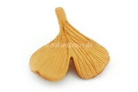 Deco clay Ginkgo leaf for Aquarium