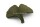 Deco clay Ginkgo leaf for Aquarium