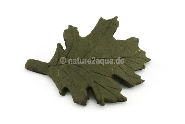 Deco clay Ilex leaf - Holly leaf for Aquarium