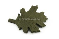 Deco clay Ilex leaf - Holly leaf for Aquarium