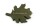 Deco clay Ilex leaf - Holly leaf for Aquarium