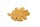 Deco clay Ilex leaf - Holly leaf for Aquarium