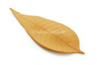 Deco clay Horse chestnut leaf for Aquarium