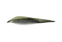 Deco clay Horse chestnut leaf for Aquarium