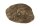 AquaKeramik Rock Tunnel Rounded Stone Tunnel ca. 29x19x13 cm - safe hiding place also for Axolotl