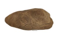 Rock tunnel Stone tunnel narrow approx. 27x13x8 cm - safe hiding place also for axolotl
