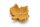 Clay Feeding bowl maple leaf for aquarium