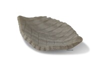 Clay Feeding cup Common Beech leaf for aquarium