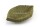 Clay Feeding cup Common Beech leaf for aquarium