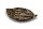 Clay Feeding cup Common Beech leaf for aquarium