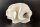 Handmade Rock made of Clay Coral for Aquarium - Unique CoralArt - D3