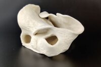 Handmade Rock made of Clay Coral for Aquarium - Unique...