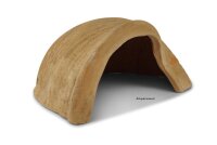 Igloo Cave Snail Shell Iris