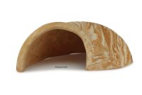 Igloo Cave Snail Shell Iris