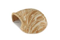 Igloo Cave Snail Shell Iris