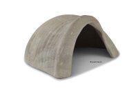 Igloo Cave Snail Shell Iris